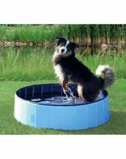 Trixie Piscina Per Cani 80x20cm