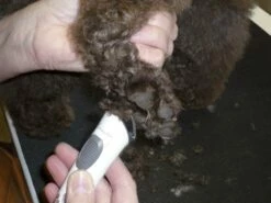 AESCULAP Exacta, Tosatrice A Batteria Per Cani, Bianco -BRIT in Italia ita pl AESCULAP Exacta tosatrice a batteria per cani bianco 18815 6