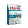 Alleva Equilibrium Sensitive Fish 10kg -BRIT in Italia ita pl Alleva Equilibrium Sensitive Fish 10kg 19708 1