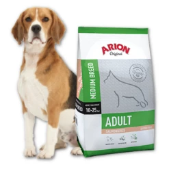 Arion Original Adult Medium Breed Salmon & Rice 12kg X2