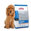 Arion Original Puppy Medium Breed Salmon & Rice 12kg