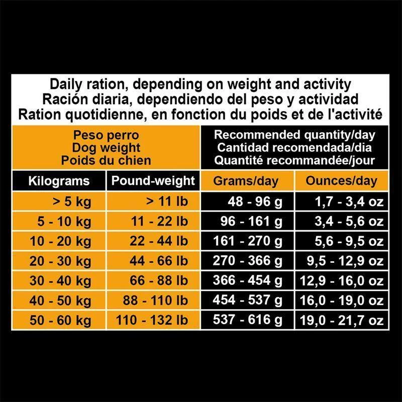 Arquivet Adult Pollo Con Riso 2x12 Kg - 3% Di Sconto In Un Set 9 Arquivet Adult Pollo Con Riso 2x12 Kg - 3% Di Sconto In Un Set - immagine 7