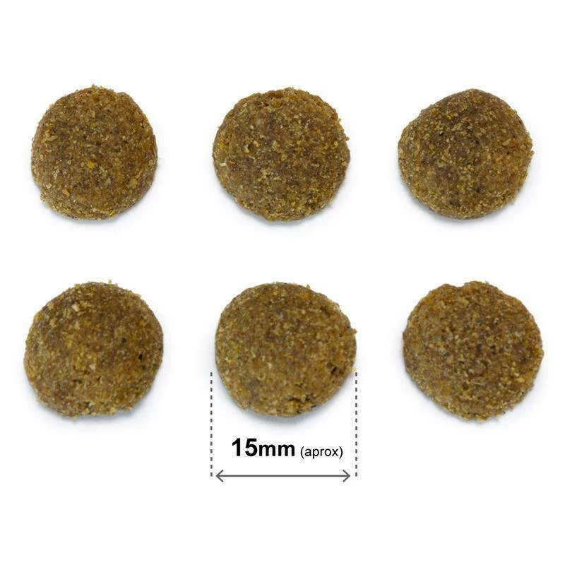 Arquivet Original Maiale Iberico 20 Kg 5 Arquivet Original Maiale Iberico 20 Kg - immagine 3