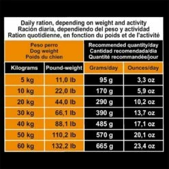 Arquivet Original Pollo Con Riso 20kg + Sorpresa Per Il Cane GRATIS -BRIT in Italia ita pl Arquivet Original Pollo con riso 20kg sorpresa per il cane GRATIS 24201 5