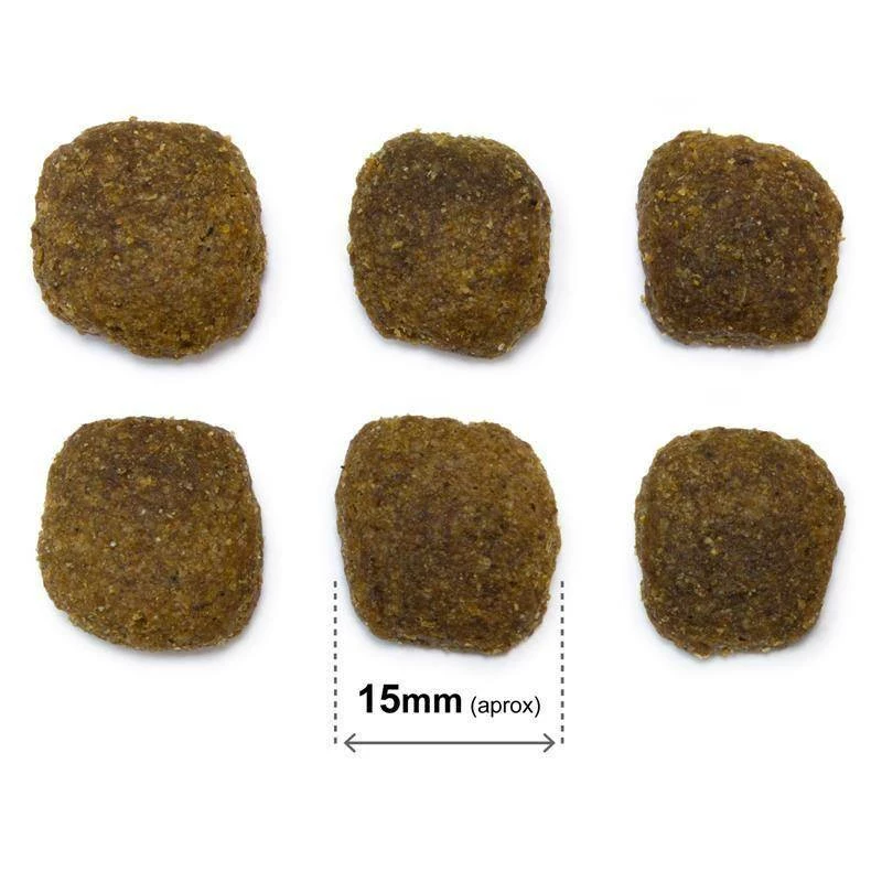 Arquivet Original Salmone Con Riso 20kg 5 Arquivet Original Salmone Con Riso 20kg - immagine 3