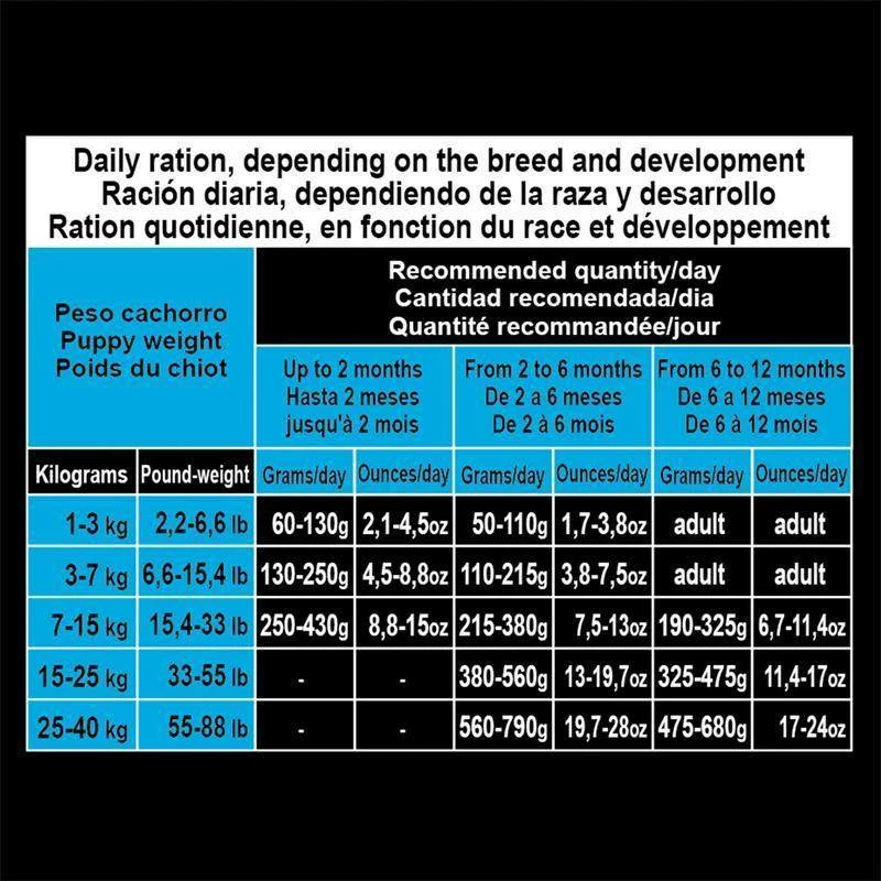 Arquivet Puppy&Junior Pollo Con Riso 2x12 Kg - 3% Di Sconto In Un Set 9 Arquivet Puppy&Junior Pollo Con Riso 2x12 Kg - 3% Di Sconto In Un Set - immagine 7
