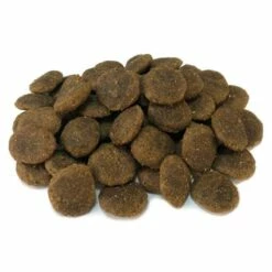 Arquivet Tacchino Senza Cereali Con Verdure 12 Kg + Sorpresa Per Il Cane GRATIS 15 Arquivet Tacchino Senza Cereali Con Verdure 12 Kg + Sorpresa Per Il Cane GRATIS -BRIT in Italia ita pl Arquivet Tacchino senza cereali con verdure 12 kg sorpresa per il cane GRATIS 24213 4