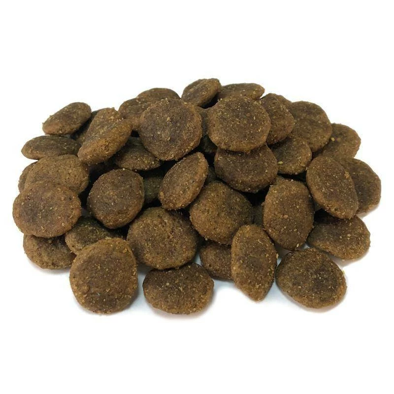 Arquivet Tacchino Senza Cereali Con Verdure 12 Kg + Sorpresa Per Il Cane GRATIS 7 Arquivet Tacchino Senza Cereali Con Verdure 12 Kg + Sorpresa Per Il Cane GRATIS - immagine 5