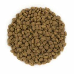 Avantis Cats 2x7,5kg - 3% Di Sconto In Un Set -BRIT in Italia ita pl Avantis Cats 2x7 5kg 3 di sconto in un set 24722 2