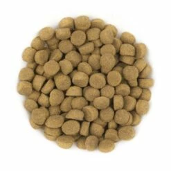 Avantis Gourmet Lamb 2x15kg - 3% Di Sconto In Un Set -BRIT in Italia ita pl Avantis Gourmet Lamb 2x15kg 3 di sconto in un set 24716 2