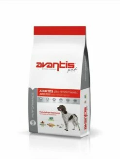 Avantis Performance 15kg + Sorpresa Per Il Cane GRATIS 8 Avantis Performance 15kg + Sorpresa Per Il Cane GRATIS -BRIT in Italia ita pl Avantis Performance 15kg 23797 1 1