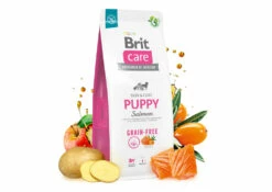 BRIT CARE Dog Grain-free Puppy Salmone 2x12kg -BRIT in Italia ita pl BRIT CARE Dog Grain free Puppy Salmone 2x12kg 23471 3