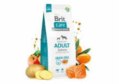 BRIT CARE Grain-free Adult Salmone 12 Kg -BRIT in Italia ita pl BRIT CARE Grain free Adult Salmone 12 kg 23256 3
