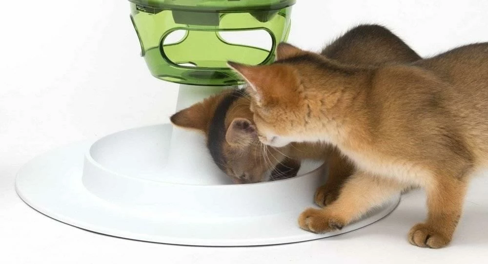 CATIT Albero Di Alimentazione E Gioco Bianco E Verde 4 CATIT Albero Di Alimentazione E Gioco Bianco E Verde - immagine 2