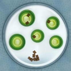 CATIT Digger Alimentazione Attiva 14 CATIT Digger Alimentazione Attiva -BRIT in Italia ita pl CATIT Digger Alimentazione attiva 9320 4