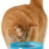 CATIT Piccola Fontana D'acqua Fresca E Chiara Per Gatti 2l 2 CATIT Piccola Fontana D'acqua Fresca E Chiara Per Gatti 2l -BRIT in Italia ita pl CATIT Piccola fontana dacqua fresca e chiara per gatti 2l 9307 1