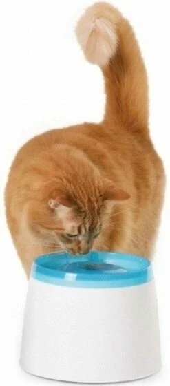 CATIT Piccola Fontana D'acqua Fresca E Chiara Per Gatti 2l