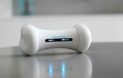 Cheerble Wickedbone - Giocattolo Interattivo Per Cani 11 Cheerble Wickedbone - Giocattolo Interattivo Per Cani -BRIT in Italia ita pl Cheerble Wickedbone Giocattolo interattivo per cani 24808 4