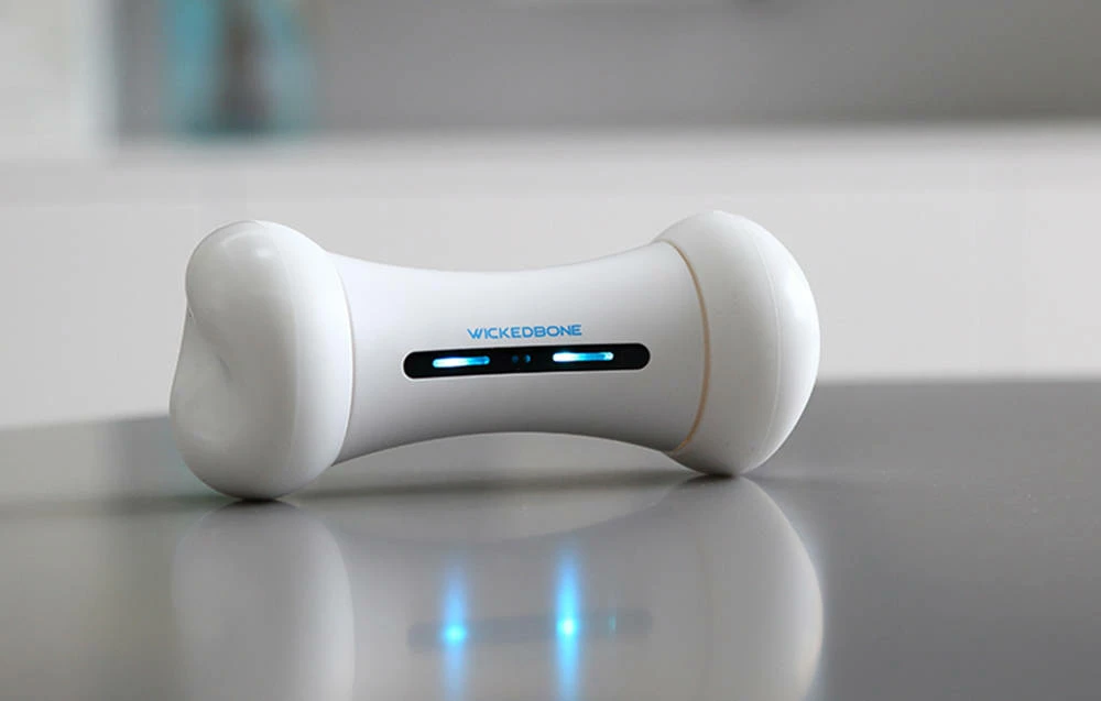 Cheerble Wickedbone - Giocattolo Interattivo Per Cani 6 Cheerble Wickedbone - Giocattolo Interattivo Per Cani - immagine 4