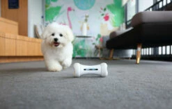 Cheerble Wickedbone - Giocattolo Interattivo Per Cani 12 Cheerble Wickedbone - Giocattolo Interattivo Per Cani -BRIT in Italia ita pl Cheerble Wickedbone Giocattolo interattivo per cani 24808 5