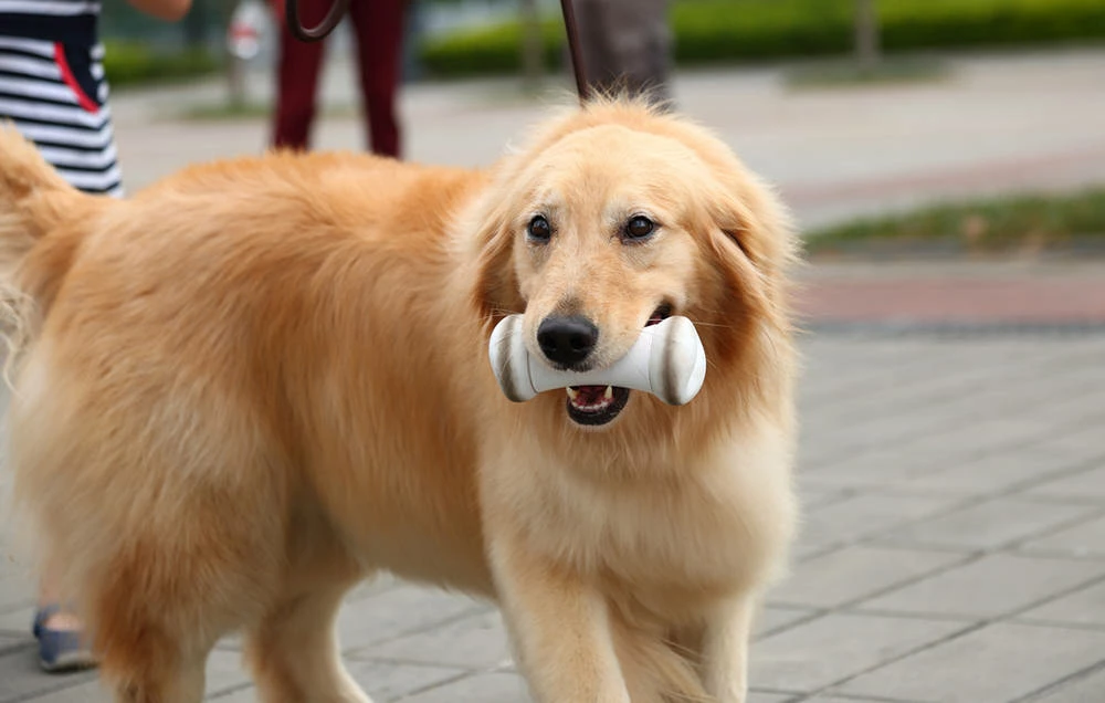 Cheerble Wickedbone - Giocattolo Interattivo Per Cani 8 Cheerble Wickedbone - Giocattolo Interattivo Per Cani - immagine 6