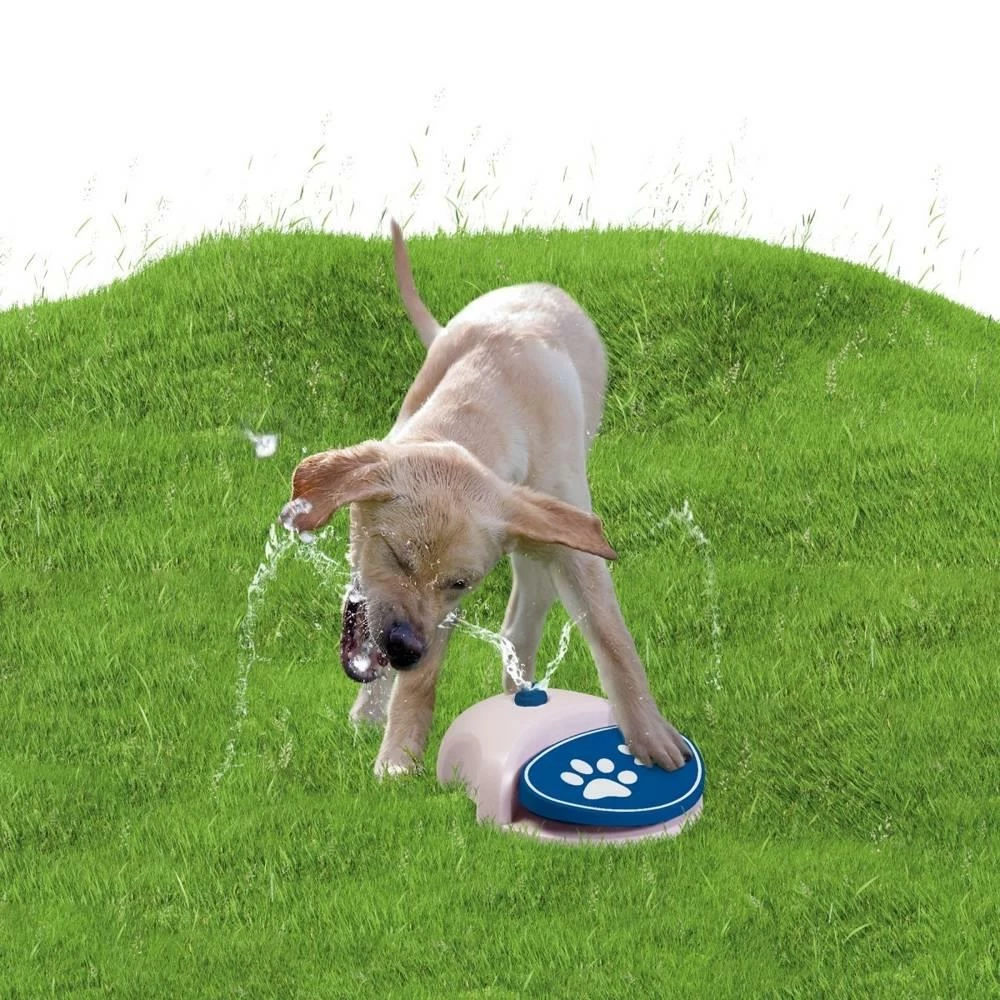 CoolPets Fontana Per Cani SPLASH 4 CoolPets Fontana Per Cani SPLASH - immagine 2