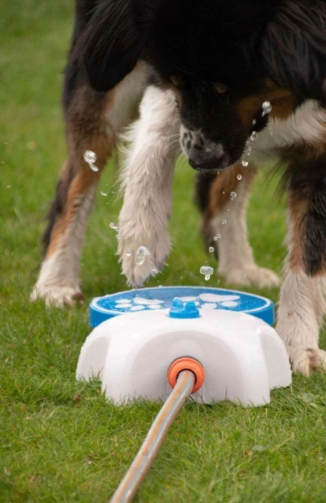CoolPets Fontana Per Cani SPLASH 5 CoolPets Fontana Per Cani SPLASH - immagine 3