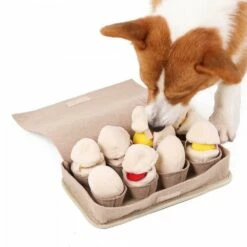 DogLemi Giocattolo Olfattivo DogLemi Che Uova!