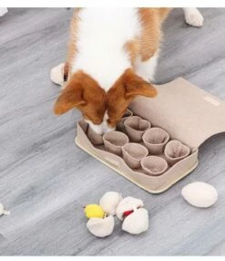 DogLemi Giocattolo Olfattivo DogLemi Che Uova! -BRIT in Italia ita pl DogLemi Giocattolo olfattivo DogLemi Che uova 23577 6