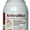 Dolfos ArthroMax 250ml 1 Dolfos ArthroMax 250ml -BRIT in Italia ita pl Dolfos ArthroMax 250ml 7647 1