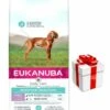 EUKANUBA Sensitive Digestion Puppy 12kg + Sorpresa Per Il Cane GRATIS 2 EUKANUBA Sensitive Digestion Puppy 12kg + Sorpresa Per Il Cane GRATIS -BRIT in Italia ita pl EUKANUBA Sensitive Digestion Puppy 12kg sorpresa per il cane GRATIS 23767 2