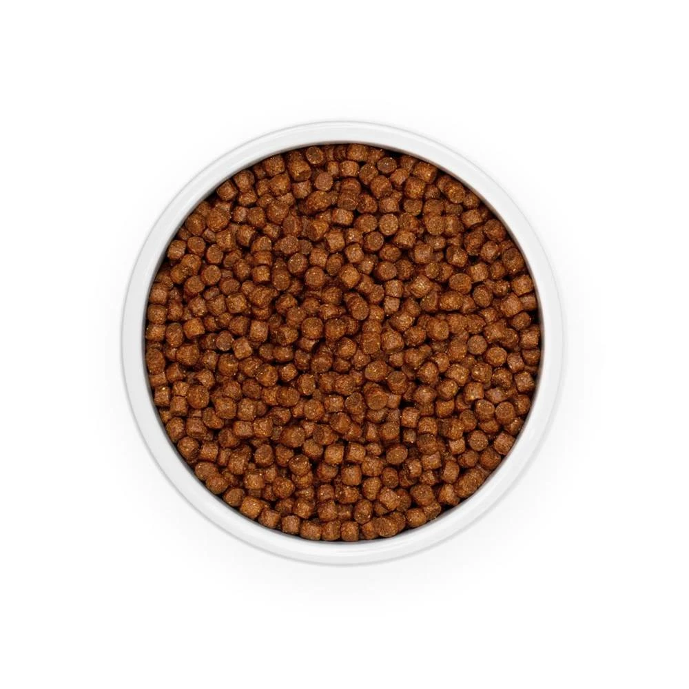 Eminent Puppy 30/17 15kg Cibo Secco Per Cuccioli, Cagne In Gravidanza E In Allattamento Di Razze Piccole E Medie 4 Eminent Puppy 30/17 15kg Cibo Secco Per Cuccioli, Cagne In Gravidanza E In Allattamento Di Razze Piccole E Medie - immagine 2