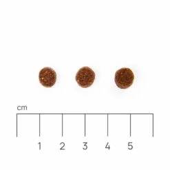 Eminent Puppy 30/17 15kg Cibo Secco Per Cuccioli, Cagne In Gravidanza E In Allattamento Di Razze Piccole E Medie 9 Eminent Puppy 30/17 15kg Cibo Secco Per Cuccioli, Cagne In Gravidanza E In Allattamento Di Razze Piccole E Medie -BRIT in Italia ita pl Eminent Puppy 30 17 15kg cibo secco per cuccioli cagne in gravidanza e in allattamento di razze piccole e medie 19374 3