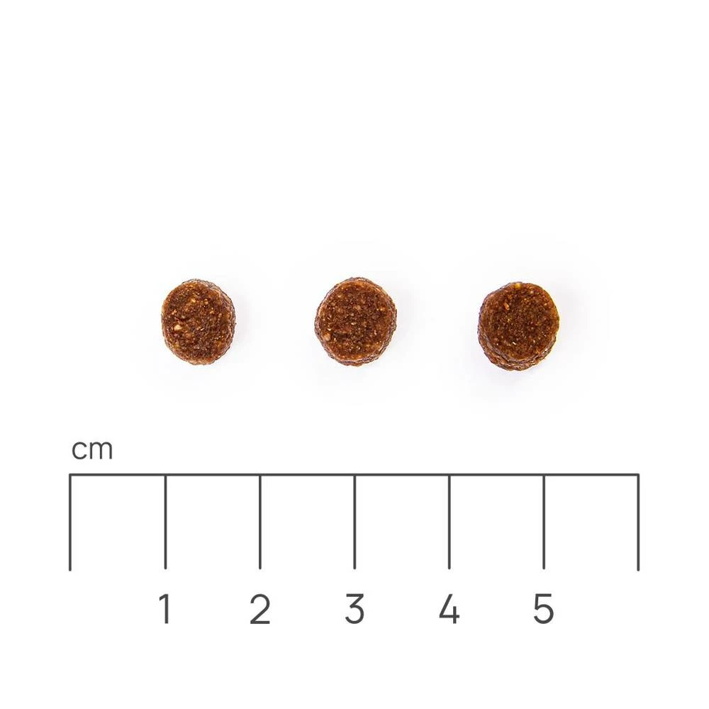 Eminent Puppy 30/17 15kg Cibo Secco Per Cuccioli, Cagne In Gravidanza E In Allattamento Di Razze Piccole E Medie 5 Eminent Puppy 30/17 15kg Cibo Secco Per Cuccioli, Cagne In Gravidanza E In Allattamento Di Razze Piccole E Medie - immagine 3