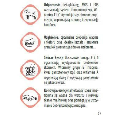 Eminent Puppy 30/17 15kg Cibo Secco Per Cuccioli, Cagne In Gravidanza E In Allattamento Di Razze Piccole E Medie 6 Eminent Puppy 30/17 15kg Cibo Secco Per Cuccioli, Cagne In Gravidanza E In Allattamento Di Razze Piccole E Medie - immagine 4