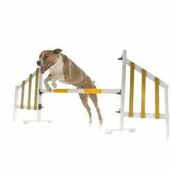 Eminent SalmoVital Olio Di Salmone 1000ml 7 Eminent SalmoVital Olio Di Salmone 1000ml -BRIT in Italia ita pl Eminent SalmoVital olio di salmone 1000ml 19382 3