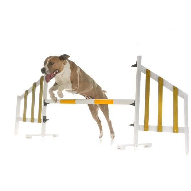 Eminent SalmoVital Olio Di Salmone 1000ml 5 Eminent SalmoVital Olio Di Salmone 1000ml - immagine 3