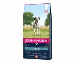 Eukanuba Adulti Grande Salmone E Orzo 12kg