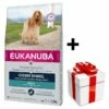 Eukanuba Cocker Spaniel Adulto 7,5kg + Sorpresa Per Il Cane GRATIS 2 Eukanuba Cocker Spaniel Adulto 7,5kg + Sorpresa Per Il Cane GRATIS -BRIT in Italia ita pl Eukanuba Cocker Spaniel adulto 7 5kg sorpresa per il cane GRATIS 24009 2