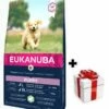 Eukanuba Cucciolo&Giovane Agnello&Riso Razze Grandi 12kg + Sorpresa Per Il Cane GRATIS -BRIT in Italia ita pl Eukanuba Cucciolo Giovane Agnello Riso razze grandi 12kg sorpresa per il cane GRATIS 24147 6