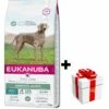 Eukanuba Cura Quotidiana Sensitive Joints 12kg + Sorpresa Per Il Cane GRATIS -BRIT in Italia ita pl Eukanuba Cura quotidiana Sensitive Joints 12kg sorpresa per il cane GRATIS 24574 2