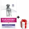 Eukanuba Dermatosi FP 12kg + Sorpresa Per Il Cane GRATIS -BRIT in Italia ita pl Eukanuba Dermatosi FP 12kg sorpresa per il cane GRATIS 23978 1