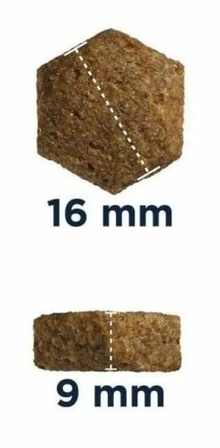 Eukanuba Junior Grande 15kg + Sorpresa Per Il Cane GRATIS 11 Eukanuba Junior Grande 15kg + Sorpresa Per Il Cane GRATIS -BRIT in Italia ita pl Eukanuba Junior Grande 15kg sorpresa per il cane GRATIS 24560 3