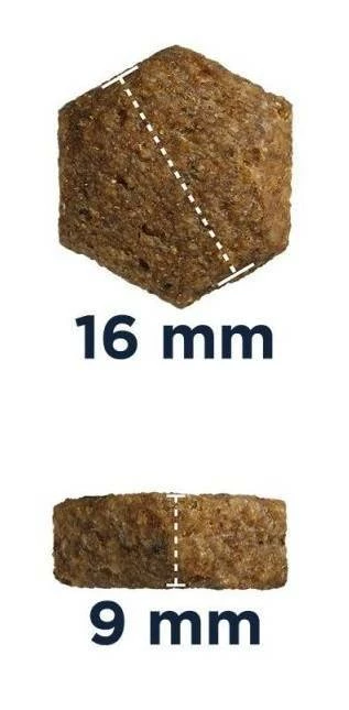 Eukanuba Junior Grande 15kg + Sorpresa Per Il Cane GRATIS 6 Eukanuba Junior Grande 15kg + Sorpresa Per Il Cane GRATIS - immagine 4