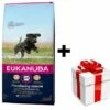 Eukanuba Junior Grande 15kg + Sorpresa Per Il Cane GRATIS -BRIT in Italia ita pl Eukanuba Junior Grande 15kg sorpresa per il cane GRATIS 24560 4
