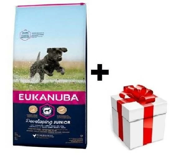 Eukanuba Junior Grande 15kg + Sorpresa Per Il Cane GRATIS 3 Eukanuba Junior Grande 15kg + Sorpresa Per Il Cane GRATIS