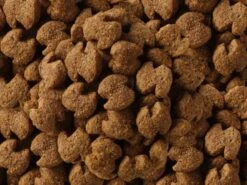 Eukanuba Labrador Retriever Adulto 12kg -BRIT in Italia ita pl Eukanuba Labrador Retriever adulto 12kg 14382 3