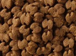 Eukanuba Rottweiler Adulto 12kg X2 10 Eukanuba Rottweiler Adulto 12kg X2 -BRIT in Italia ita pl Eukanuba Rottweiler adulto 12kg x2 20399 4