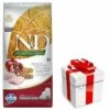 Farmina N&D Ancestral Grain Canine Puppy Medium&Maxi Chicken&Pomegranate 12kg + Sorpresa Per Il Tuo Cane