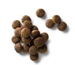 Faunakram Complete Super Premium Grain Free Cibo Secco Per Cani Con Agnello E Pollo 10 Kg -BRIT in Italia ita pl Faunakram Complete Super Premium Grain Free cibo secco per cani con agnello e pollo 10 kg 24288 2